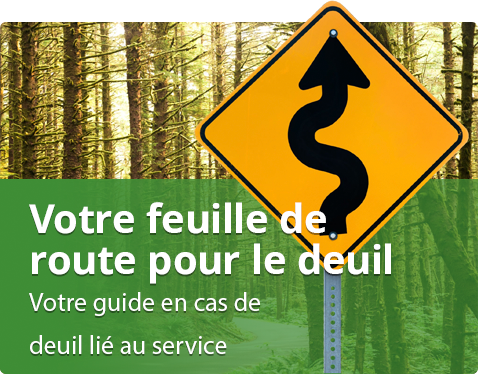 Your Grief Roadmap Fr